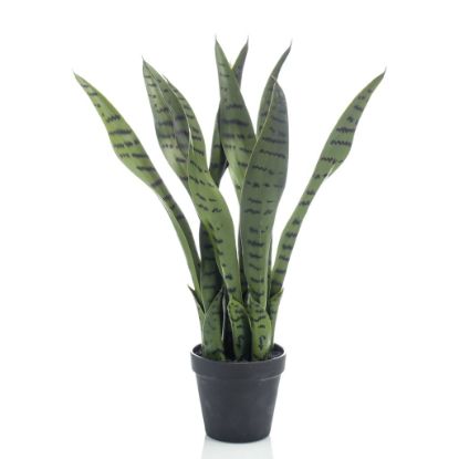 Image de Emerald Plante artificielle Sansevieria 55 cm en pot