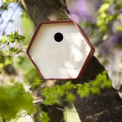 Image de Capi Maison à oiseaux Hive 1 19x23x20 cm trou rond marron
