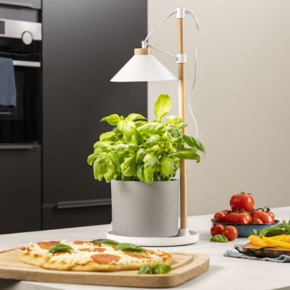 Image de Smartwares Lampe de culture de jardin à LED 9 W Blanc